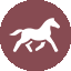 Equine web services voor fokkers & handelaren